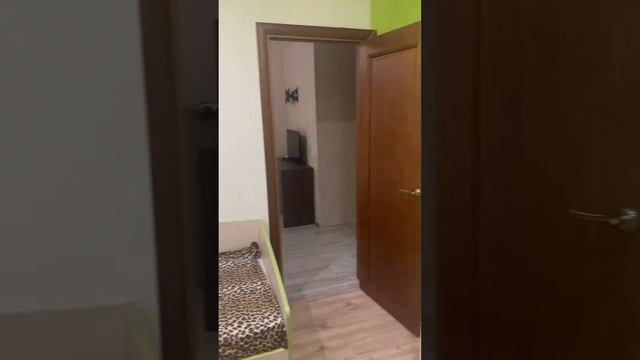 8 февраля 2024 г.