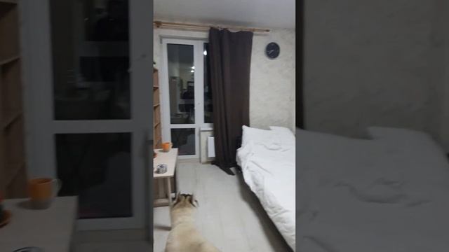 Что такое квартира студия смотреть онлайн