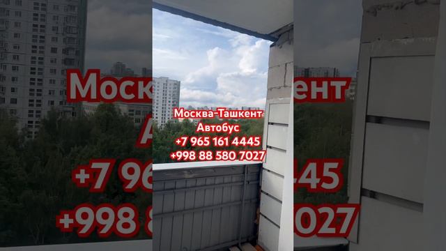 Бугун дам Москва Ташкент автобус Москва Шымкент автобус Москва Худжанд #автобус #2023 ￼ #ташкент смотреть онлайн