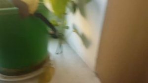 ОБЗОР ПОДЪЕЗДОВ/1