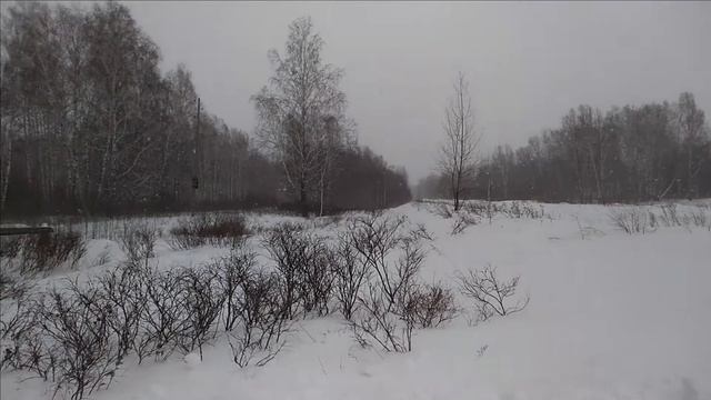 Сибирская метель. Siberian Snowstorm