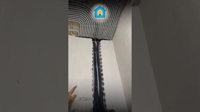 Как над таким шлейфом крепить потолок? #электрикавдоме #ремонт #тула #тульскийэлектрик #потолок смотреть онлайн