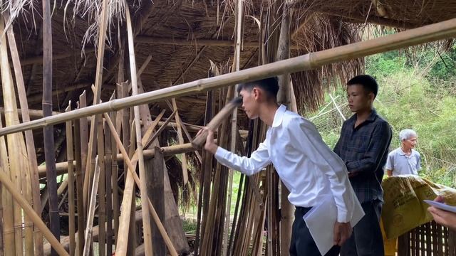 Police investigation uncovers the vandal's hidden secret | Ly Tieu Sua смотреть онлайн