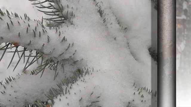 Никому тебя не отдам смотреть онлайн