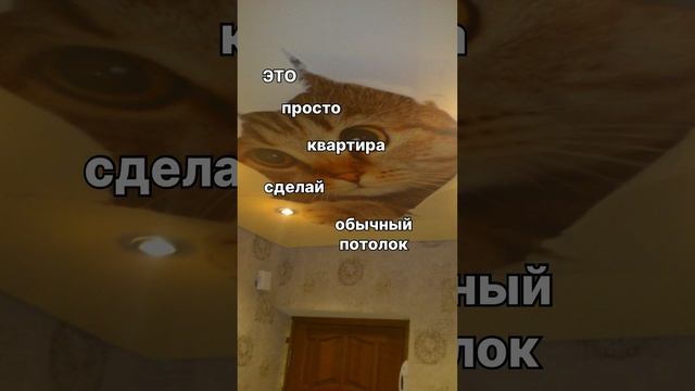 #натяжныепотолки #ремонтквартир #2024 #искусство #лайфхаки #натяжные_потолки #натяжные #потолки смотреть онлайн