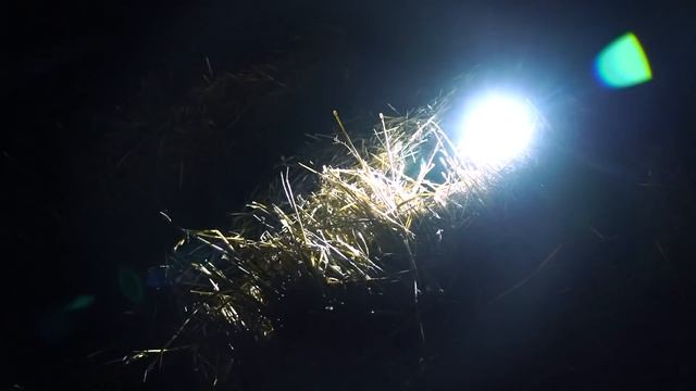 НЕВЕРОЯТНАЯ ОХОТА НА УТКУ И ГУСЯ. ТРОФЕЙНАЯ УТИНАЯ ОХОТА В РОССИИ. ЛУЧШАЯ ОХОТНИЧЬЯ БАЗА. ДИЧЬ 2021 смотреть онлайн