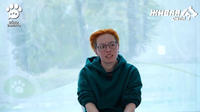 1. Базовая, теоретическая лекция марафона по неподбору "Как отучить собаку подбирать все подряд" смотреть онлайн