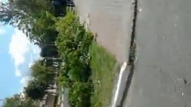 16.07.2015 Балашиха. Проспект Ленина. Вырубка деревьев смотреть онлайн