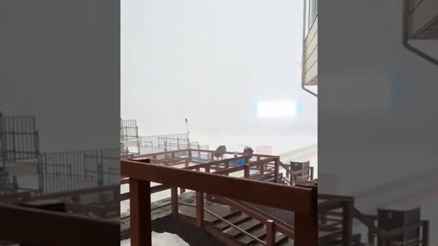 Метель в Ханты Мансийске смотреть онлайн