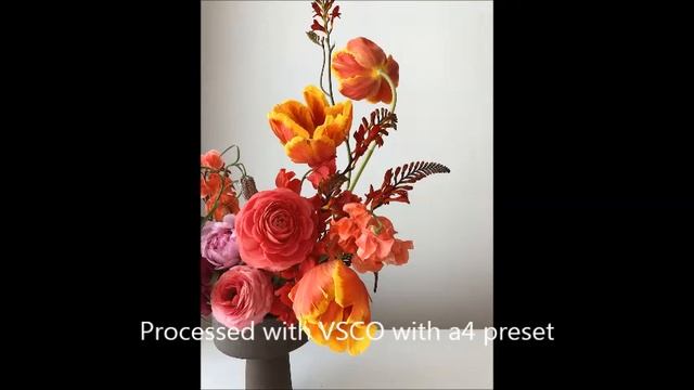 Poems of Optimism / Ella Wheeler Wilcox(English) смотреть онлайн