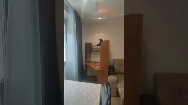 отличная квартира смотреть онлайн