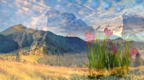 Что такое Сатори?