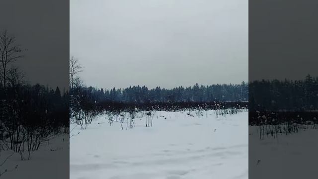 #Егорьевск Падал снег смотреть онлайн