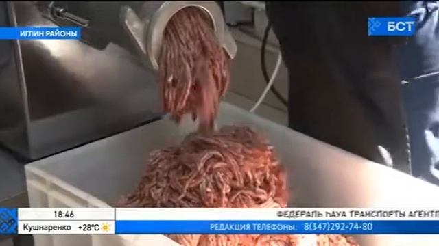 Иглин районында «Ауыл ашамлыҡтары» бренды ассортиментын киңәйтә. Эфир от 06.08.2022. смотреть онлайн