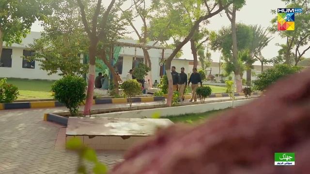 Teri Chhaon Mein - Ep 13 [CC] - 22 Aug 2024 Sponsored By Jhalak Beauty Cream - Danish Taimoor Drama
