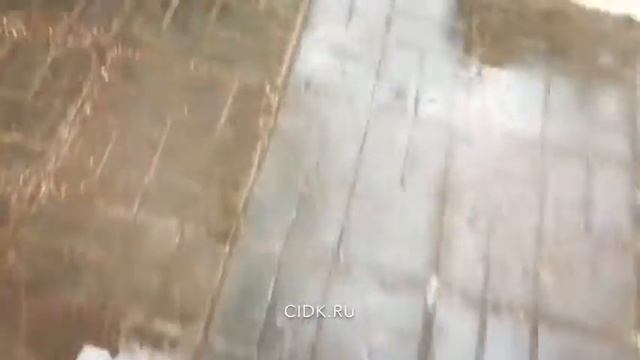 видео, как нас найти смотреть онлайн
