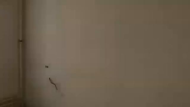 54cba1f0211548a5c27c51f80b98e1be смотреть онлайн