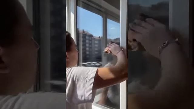 файбер для стекла, зеркал и т.д уборка будет для вас удовольствием @https://t.me/toptowar100 #обзор смотреть онлайн