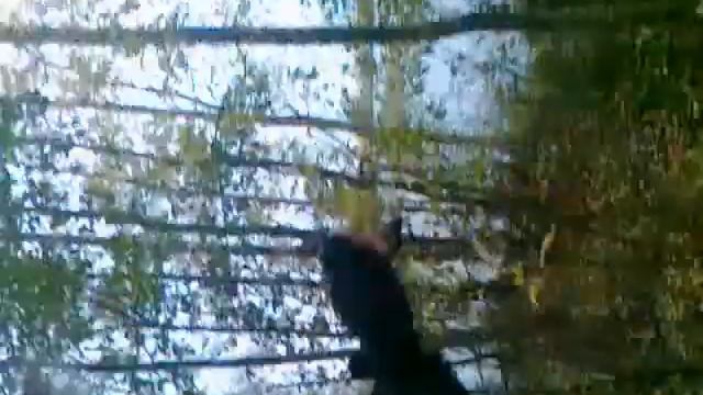 Свердлова карьер смотреть онлайн