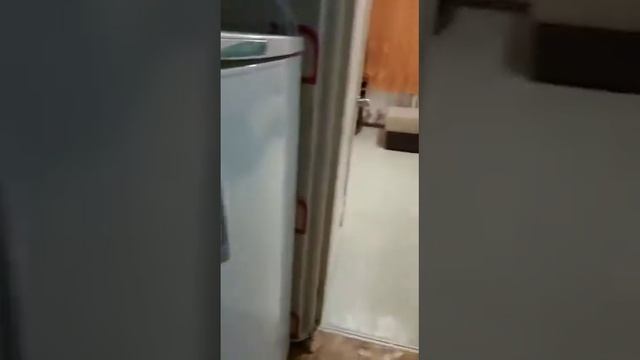 Аренда гостинки ЗЖМ 8000₽ смотреть онлайн