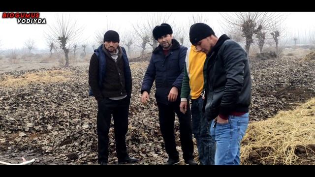 Бу йилнинг Тренддаги бизнеси | Рискларсиз сармоя киритинг смотреть онлайн