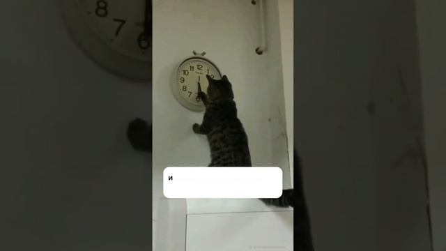 С 2020 года - цены на недвижимость выросли в 3 раза(читай описание) смотреть онлайн