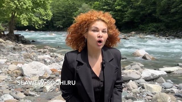 Светский лес. Новый центр Сочи #инвестициивсочи #инвестиции #брокер #инвестициивапартаменты смотреть онлайн