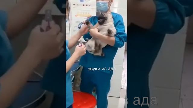 страшно вырубай