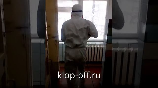 Обработка спальных мест в общежитиях смотреть онлайн