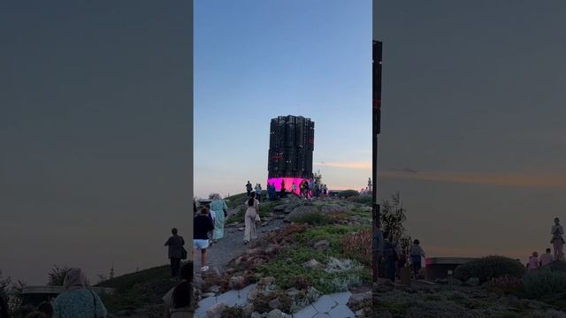 СВЕТОВОЙ ЛЕС В ЦЕНТРЕ МОСКВЫ