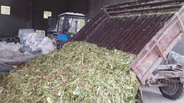 Силос заготовка Силос Кыргызстан, Джалал Абад Сузак смотреть онлайн