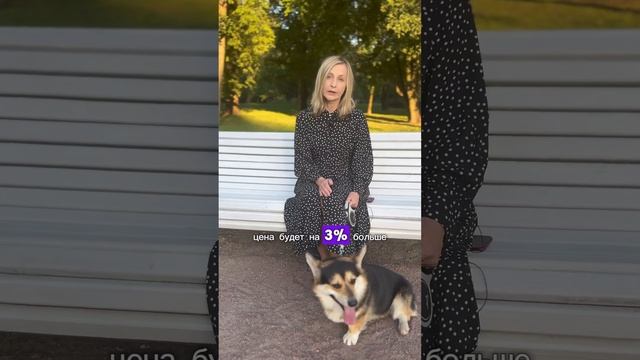 5% ПЕРВЫЙ ВЗНОС НА ГОТОВУЮ КВАРТИРУ #новостройкиспб #квартираотзастройщика #купитьквартируспб