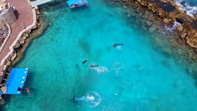 Travel Video curacao 2018 - dji osmo mobile 2, iphone 6s, dji mavic pro, travel blog смотреть онлайн