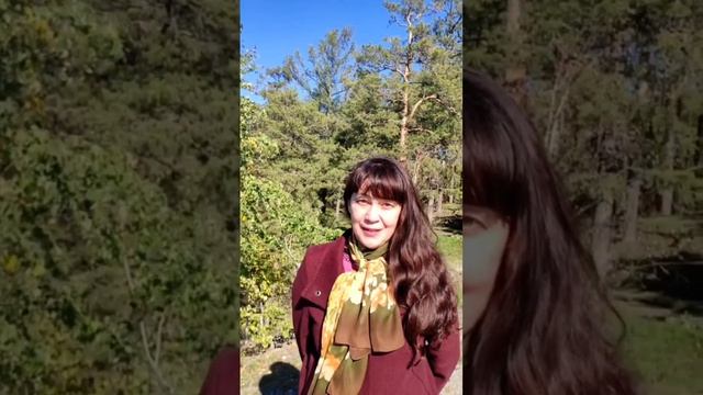 КУРСЫ ДУХОВНОГО РАЗВИТИЯ на основе универсалий бытия. Елена Александрова,кол-вМаЭД г.Миасс,мирУнив- смотреть онлайн