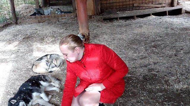 Этномир. Маша и собаки. Часть 1 смотреть онлайн