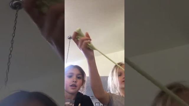 Bubble gum slime green apple slime and unicorn slime смотреть онлайн