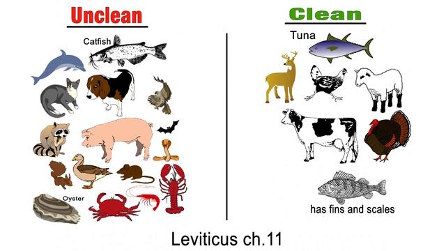 Jacmauzs Justarr - Dietary Law смотреть онлайн