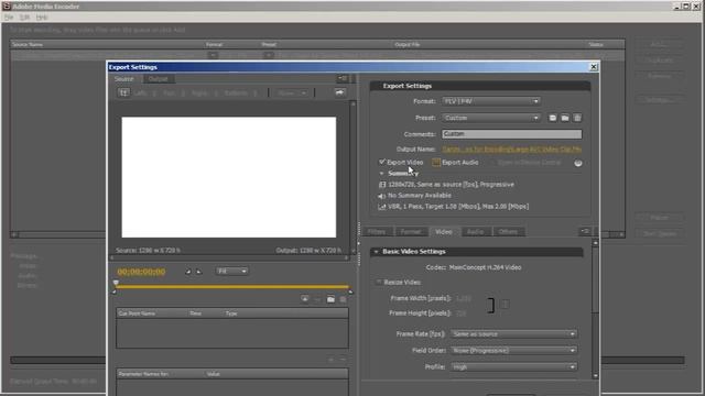 Adobe Media Encoder Tutorials - AVI to F4V смотреть онлайн
