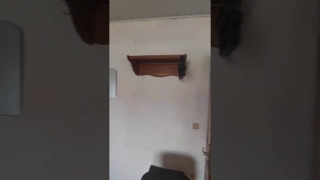 Межводное садовая 36 2й этаж смотреть онлайн