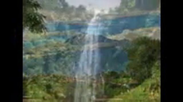 Wildlife safaris Tanzania video to display nature wonder places for holidays booking смотреть онлайн