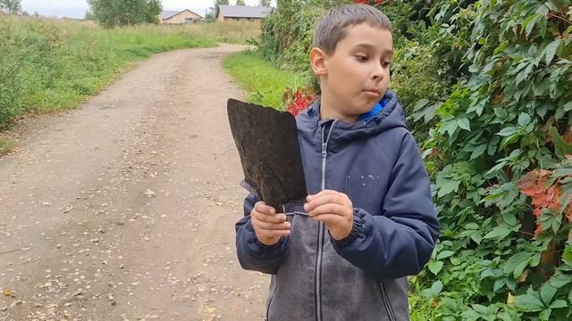 Щедрый лес, триумф Ростислава и яркая ваза смотреть онлайн