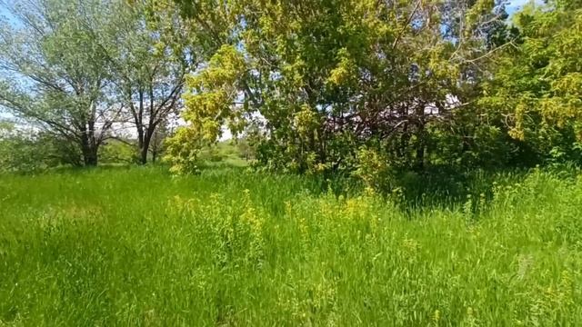 Талант недвижимости