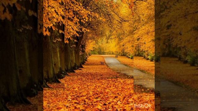 Вечная любовь.mp4