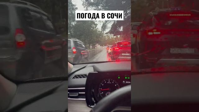 ПОГОДА В СОЧИ #сочи #купитьквартирусочи #недвижимостьсочи #недвижимостьуморя #ипотека #жккислородсо смотреть онлайн