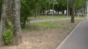 Иду в поликлинику, в Бескудниково