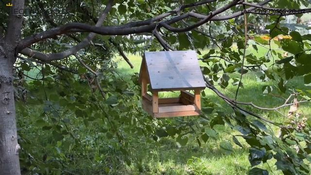 Купить квартиру у пруда в Москве, ЖК, цены, отзывы с АН ЧестнокофЪ