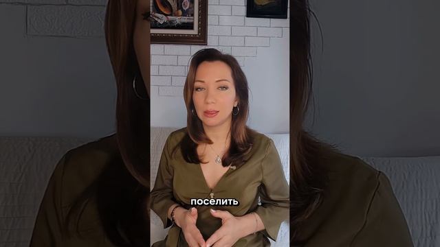 Разница между туристическими апартаментами и квартирой с тур лицензией 29 марта 2024 г. смотреть онлайн