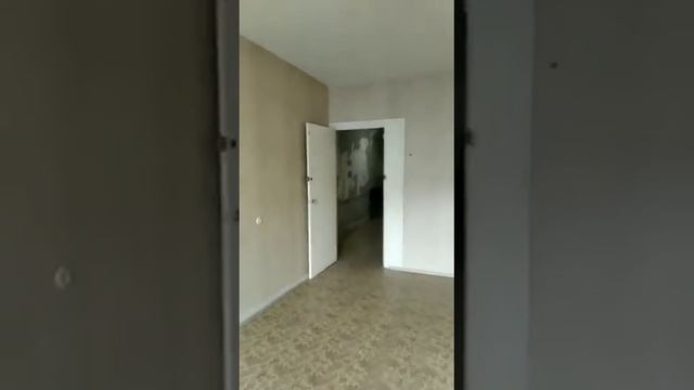 WhatsApp Video 2021 02 15 at 14 47 41 смотреть онлайн