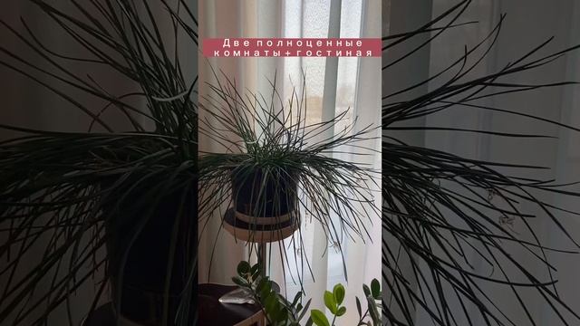 Омск, Кировский, Кировская 8-я, 70 смотреть онлайн
