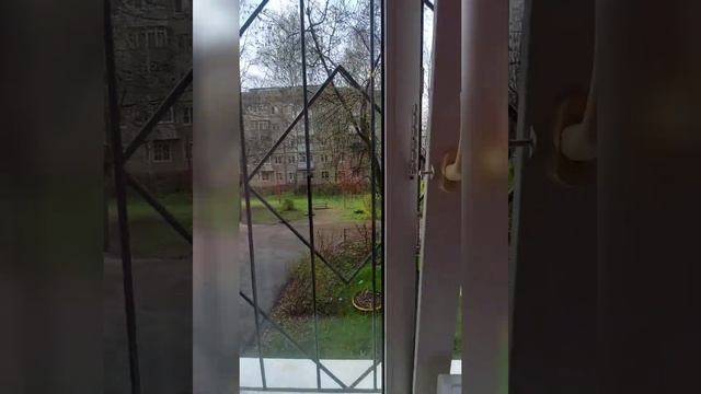 InShot 20210504 190721111